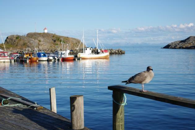 Lofoten Cabin And Kayak Rental スタムスンド エクステリア 写真